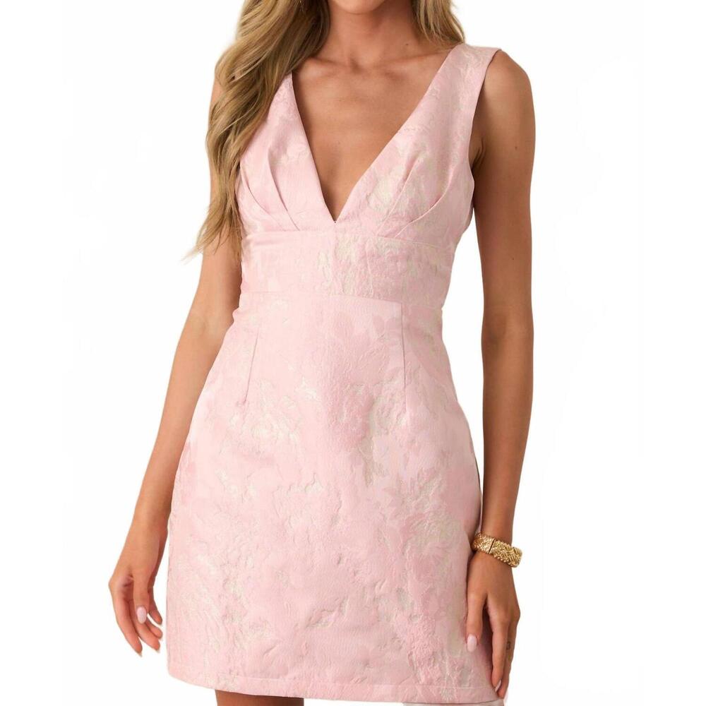 NWT Sleeveless V-Neck Mini Dress in Light Pink